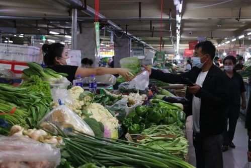 我市農副產品及醫藥消殺用品貨足價穩供應平穩